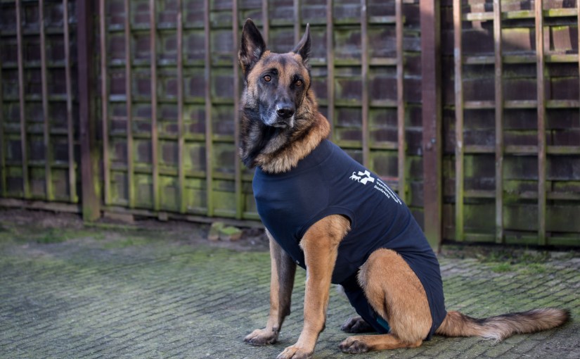 Dat liep maar net goed&nbsp;af